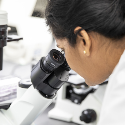 柏树溪b|奥斯汀社区学院区 A close-up image of a student intently looking through a microscope in a science lab, focusing on her experiment.