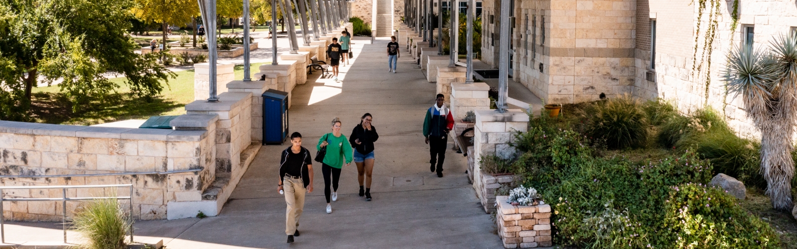 柏树溪b|奥斯汀社区学院区